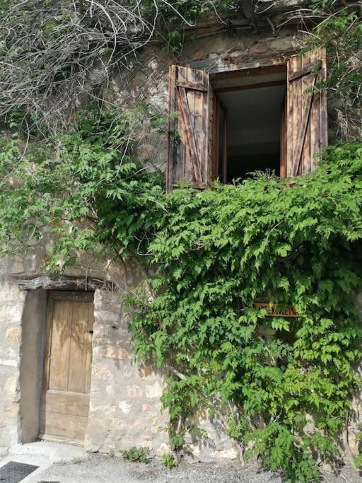 La Maison De La Vigne Bauduen Dış mekan fotoğraf